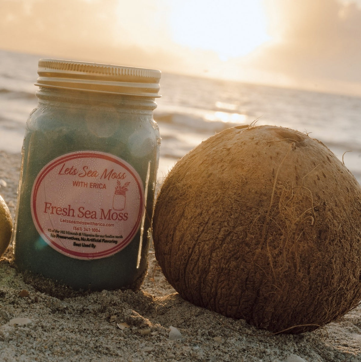 Wildcrafted Organic Sea Moss Gel Infused with Organic Fruits