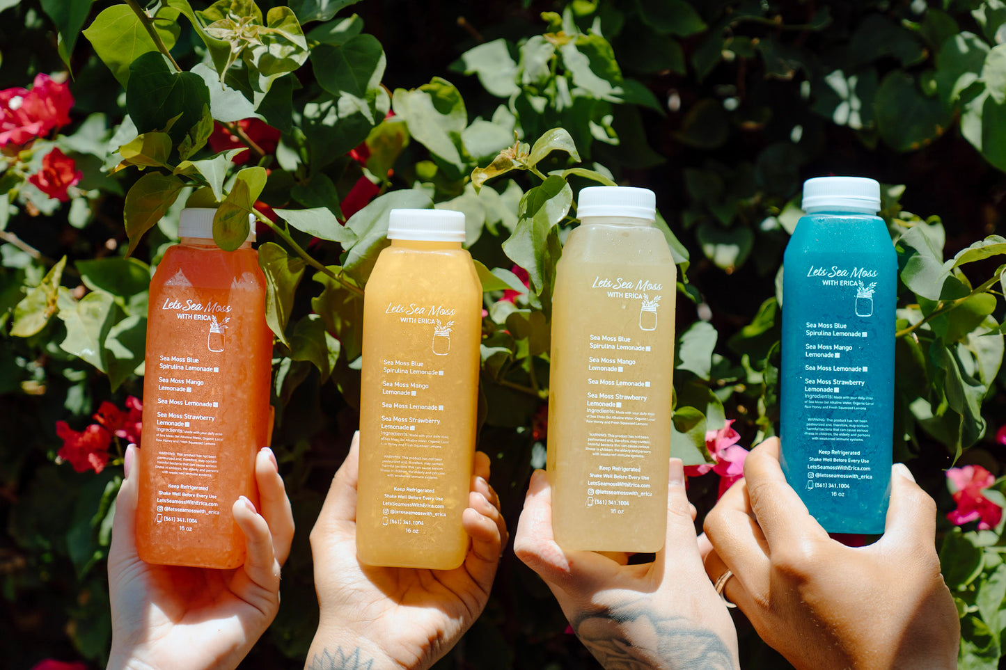 Fresh Sea Moss Lemonades